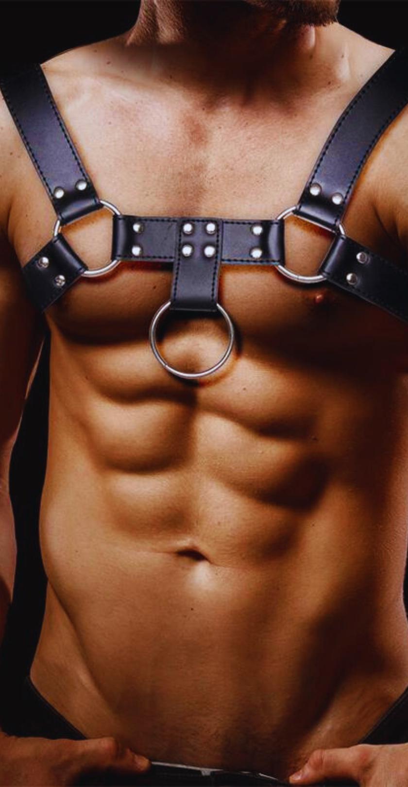 male chest harnesses from eden's temple kink boutique