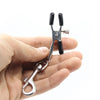 Adjustable nipple clamps with hooks. Buy sex toys online Ireland. Free shipping.