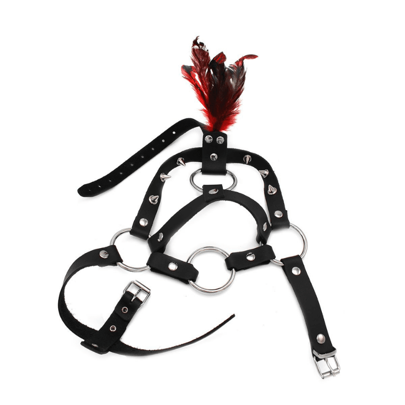 Spiked Leather Head Harness with Feather - Eden's Temple Online sex toys, BDSM gear and fetish wear Ireland